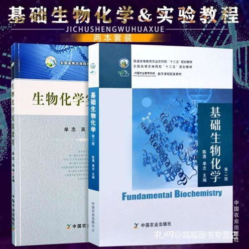 生物化學(xué)實驗教程與基礎(chǔ)生物化學(xué) 現(xiàn)代生命科學(xué)的實踐與理論基礎(chǔ)